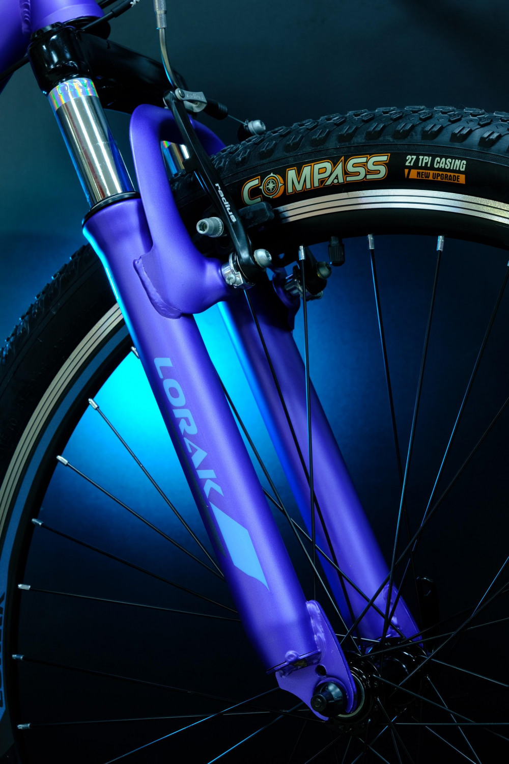 Lorak Glory 4 Матовый Фиолетовый/Голубой рама 17 (на рост 155-173)