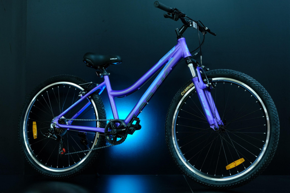 Lorak Glory 4 Матовый Фиолетовый/Голубой рама 17 (на рост 155-173)